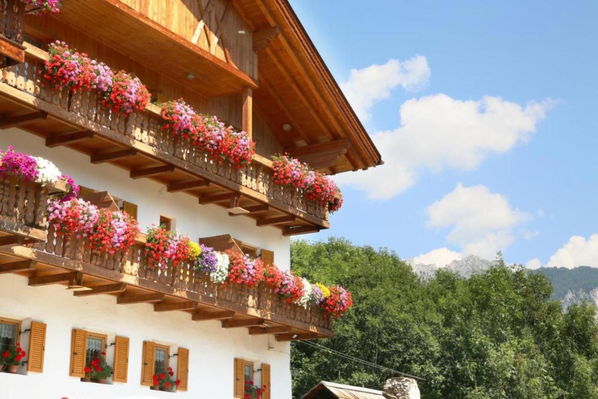 Bed and Breakfast Veltierhof Villnoess Esterno foto
