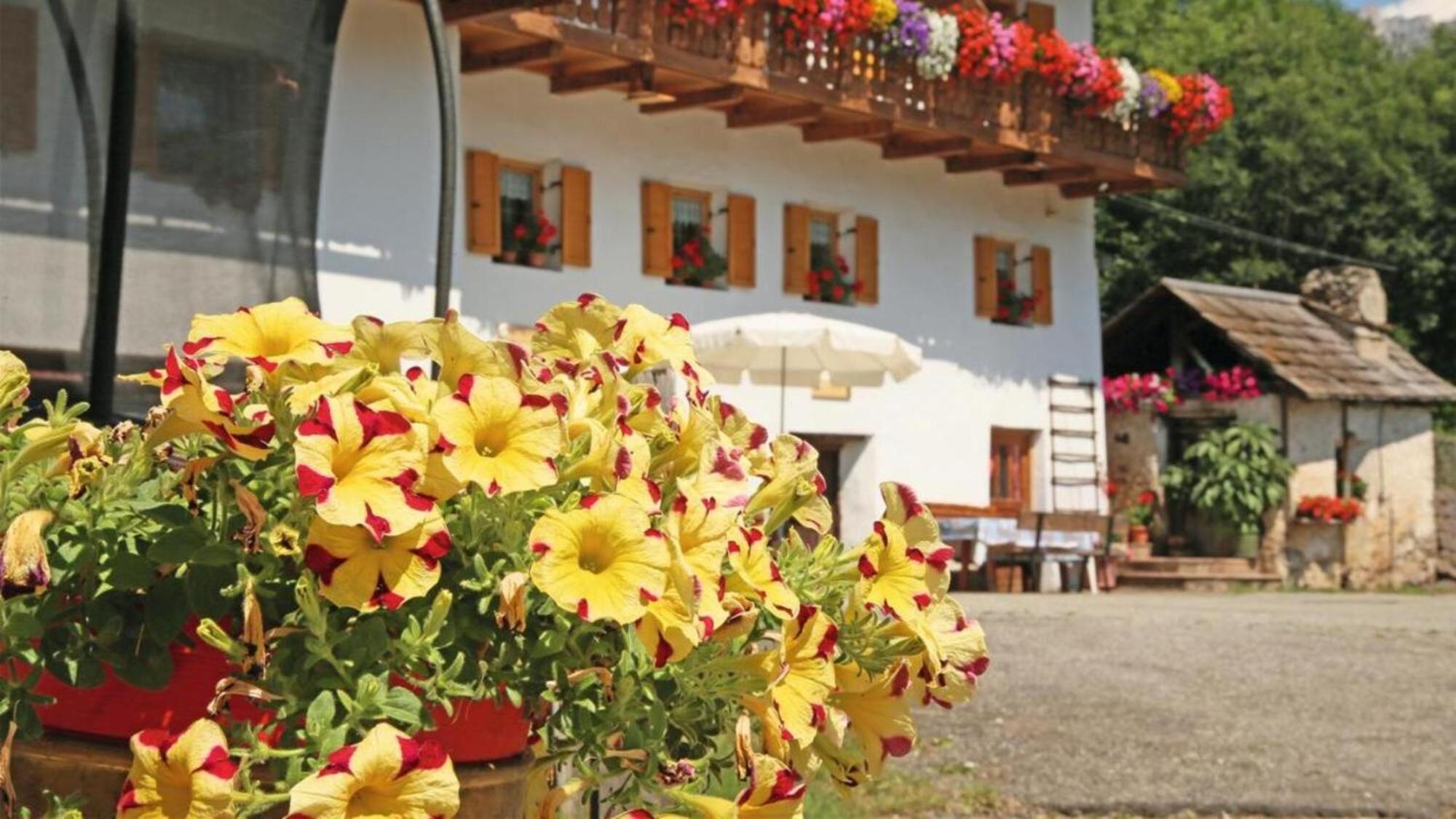 Bed and Breakfast Veltierhof Villnoess Esterno foto