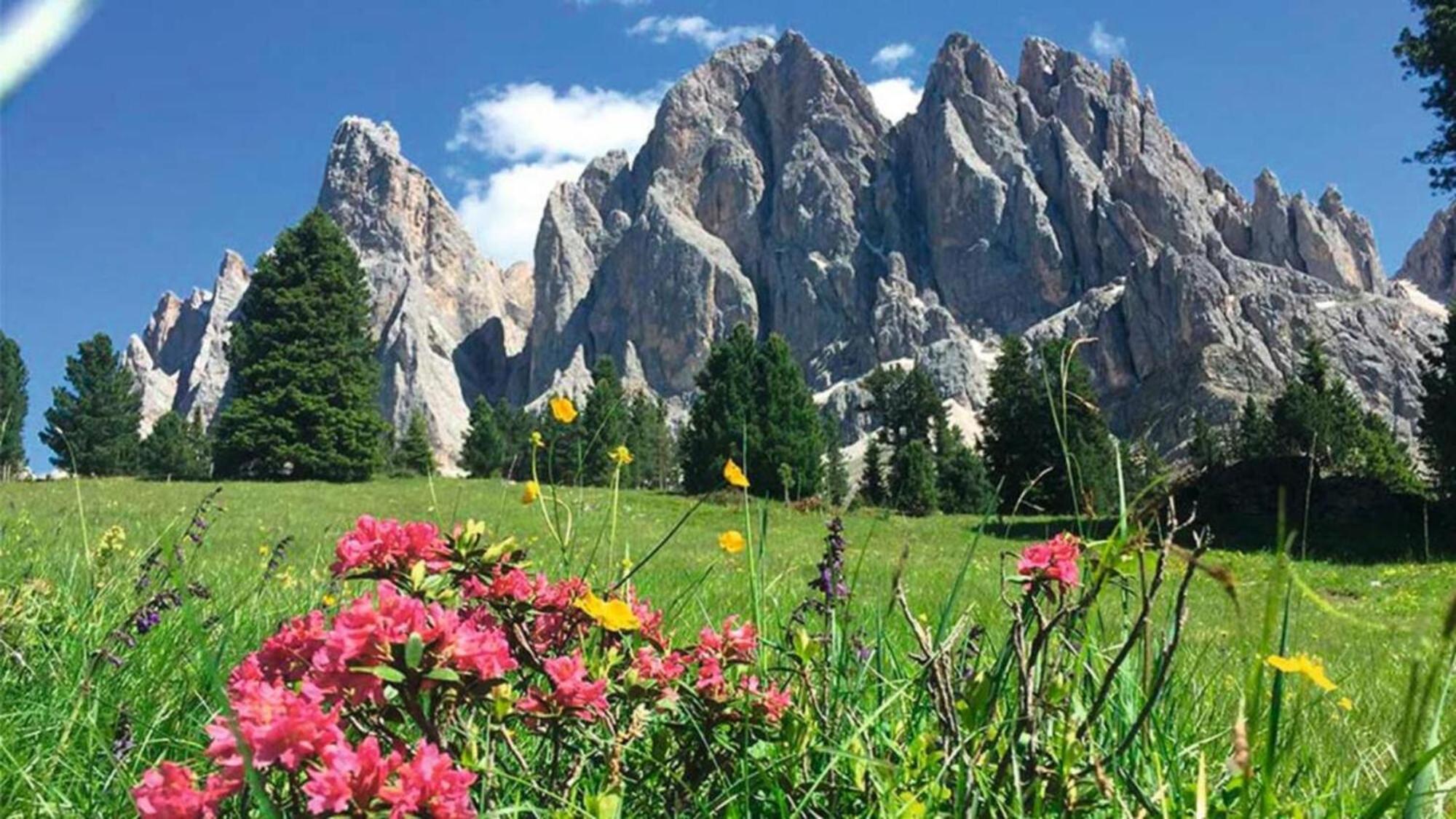 Bed and Breakfast Veltierhof Villnoess Esterno foto